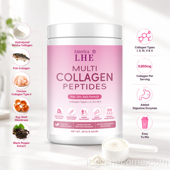 Polvere di peptidi di collagene per supporto articolare dei capelli al collagene Shecome